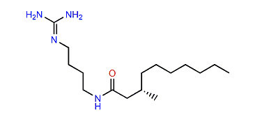 Aplysillamide B